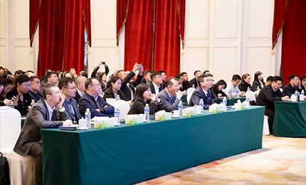 pa视讯集团党委&ldquo;书记带项目&rdquo;工作阶段性进展汇报会成功召开