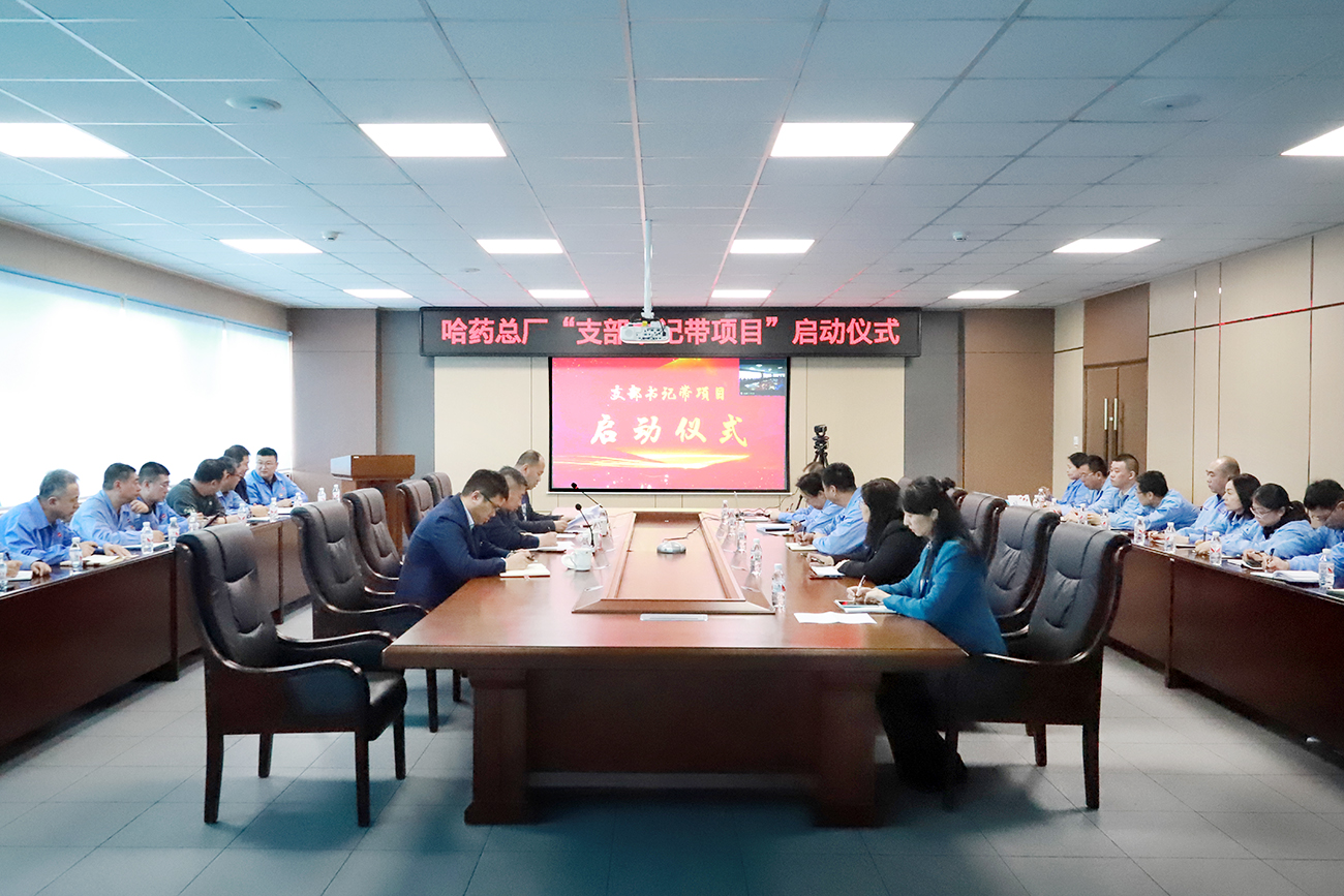 党建领航&ldquo;加速度&rdquo; 打造发展&ldquo;强引擎&rdquo;&mdash;&mdash;pa视讯总厂党委召开&ldquo;支部书记带项目&rdquo;启动仪式